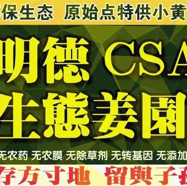 七不水稻即将上市-2021年新米预定月购限时特惠  家庭七不大米/红米 红皮大米/糯米/ 黑米/泰两优217/中浙优H7 宅配送