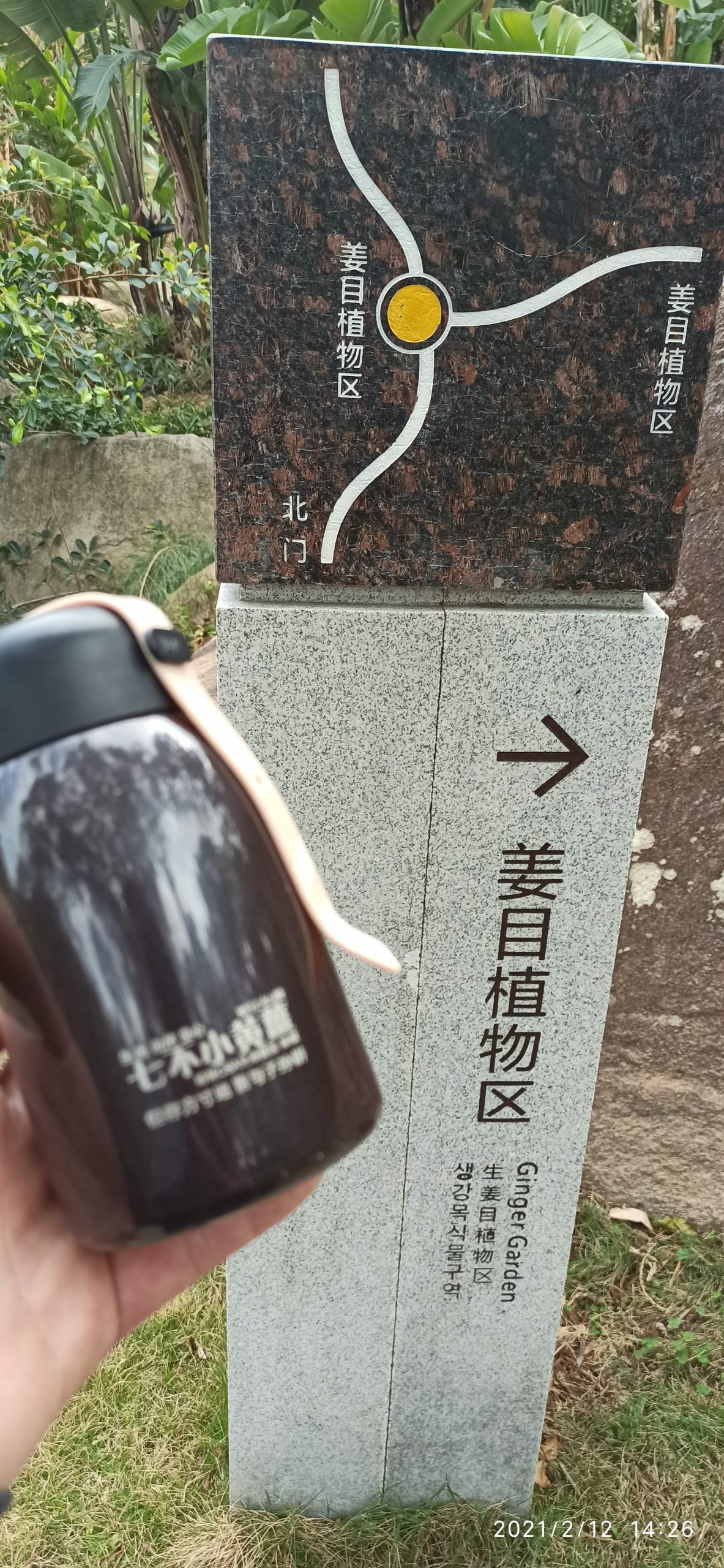 帶你看姜目園 廈門市園林植物園姜目植物區 驚艷！300多種姜目植物爭相開放2021.2-七不姜 生姜養生網-明德CSA生態姜園&明安農業
