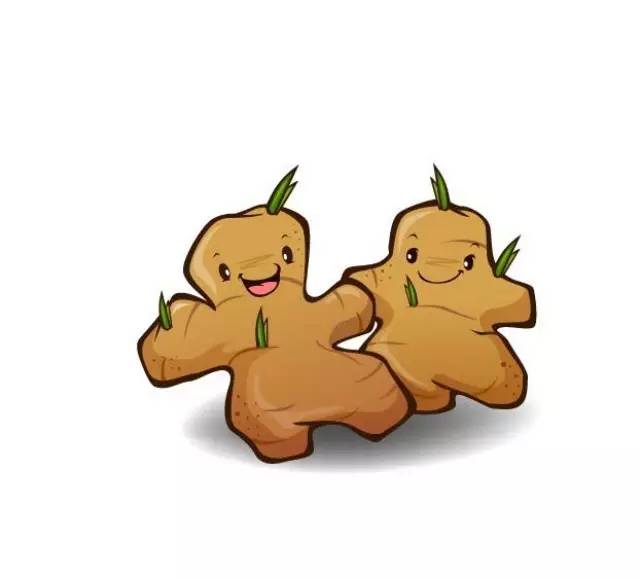 美女變生姜，我們一直在“姜”錯就錯？||二馬漢字評書第29講-七不姜 生姜養生網-明德CSA生態姜園&明安農業