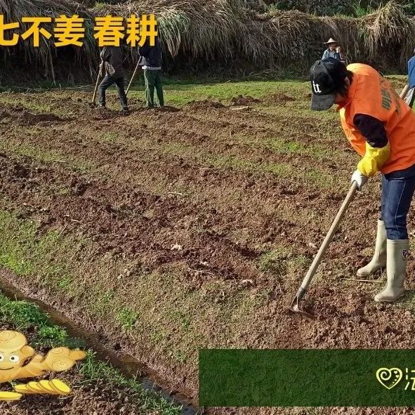 2021 618&端午 劵 每周优惠券