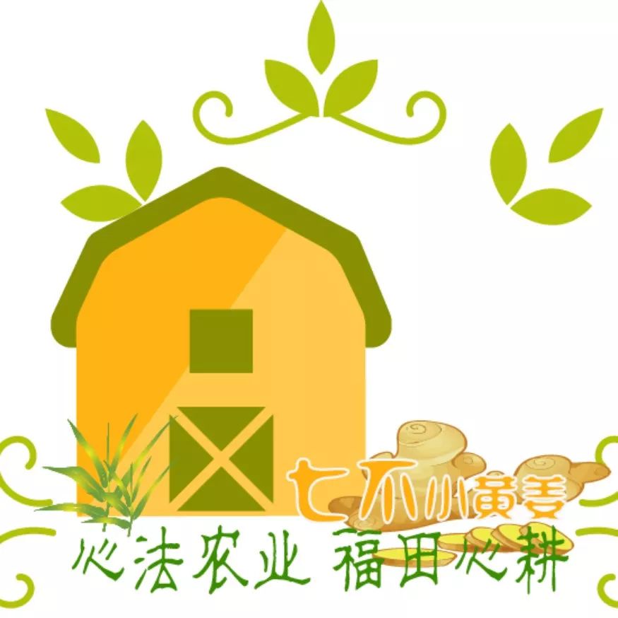 2021 618&端午 劵 每周优惠券