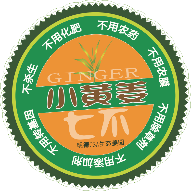 生姜养生网改版mdcsa.cn公测 原始点视频号开通