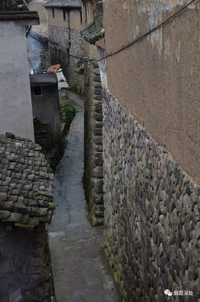 传统村落--溪港乡仁庄村(古村行013)- 秀美仙居 慈孝仁庄 明德生态姜园“七不”良心小黄姜发源地 传统村落--溪港乡仁庄村(古村行013)- 秀美仙居 慈孝仁庄 明德生态姜园“七不”良心小黄姜发源地