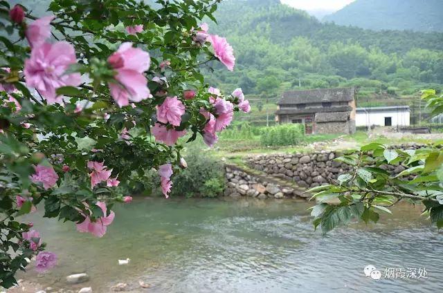 传统村落--溪港乡仁庄村(古村行013)- 秀美仙居 慈孝仁庄 明德生态姜园“七不”良心小黄姜发源地 传统村落--溪港乡仁庄村(古村行013)- 秀美仙居 慈孝仁庄 明德生态姜园“七不”良心小黄姜发源地