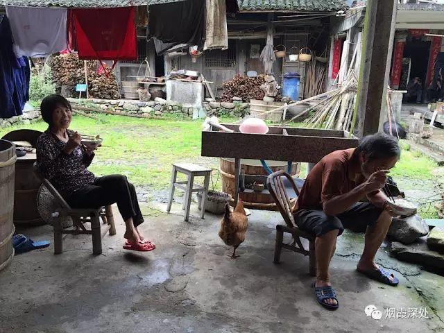 传统村落--溪港乡仁庄村(古村行013)- 秀美仙居 慈孝仁庄 明德生态姜园“七不”良心小黄姜发源地 传统村落--溪港乡仁庄村(古村行013)- 秀美仙居 慈孝仁庄 明德生态姜园“七不”良心小黄姜发源地