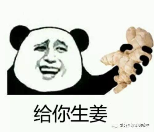生姜:肠胃的好朋友 生姜:肠胃的好朋友