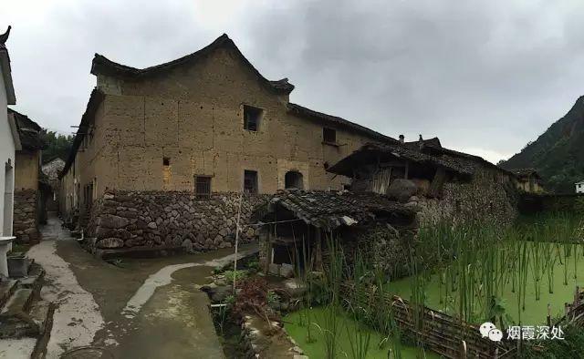 传统村落--溪港乡仁庄村(古村行013)- 秀美仙居 慈孝仁庄 明德生态姜园“七不”良心小黄姜发源地 传统村落--溪港乡仁庄村(古村行013)- 秀美仙居 慈孝仁庄 明德生态姜园“七不”良心小黄姜发源地