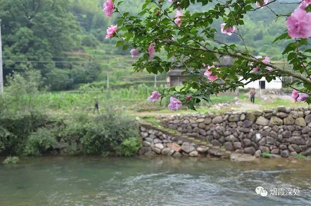 传统村落--溪港乡仁庄村(古村行013)- 秀美仙居 慈孝仁庄 明德生态姜园“七不”良心小黄姜发源地 传统村落--溪港乡仁庄村(古村行013)- 秀美仙居 慈孝仁庄 明德生态姜园“七不”良心小黄姜发源地