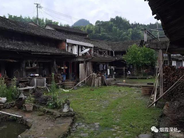 传统村落--溪港乡仁庄村(古村行013)- 秀美仙居 慈孝仁庄 明德生态姜园“七不”良心小黄姜发源地 传统村落--溪港乡仁庄村(古村行013)- 秀美仙居 慈孝仁庄 明德生态姜园“七不”良心小黄姜发源地