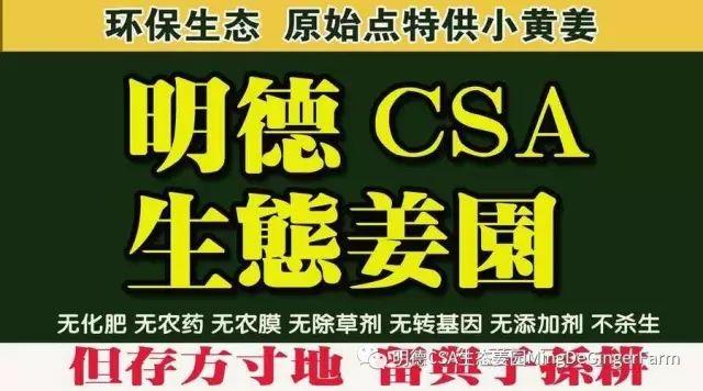 传统村落--溪港乡仁庄村(古村行013)- 秀美仙居 慈孝仁庄 明德生态姜园“七不”良心小黄姜发源地 传统村落--溪港乡仁庄村(古村行013)- 秀美仙居 慈孝仁庄 明德生态姜园“七不”良心小黄姜发源地