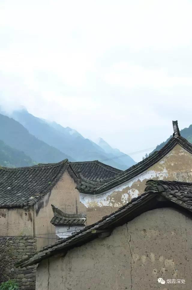 传统村落--溪港乡仁庄村(古村行013)- 秀美仙居 慈孝仁庄 明德生态姜园“七不”良心小黄姜发源地 传统村落--溪港乡仁庄村(古村行013)- 秀美仙居 慈孝仁庄 明德生态姜园“七不”良心小黄姜发源地