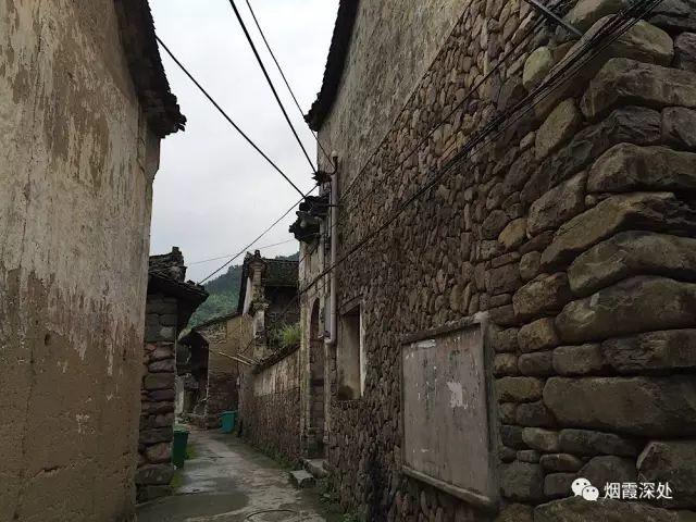 传统村落--溪港乡仁庄村(古村行013)- 秀美仙居 慈孝仁庄 明德生态姜园“七不”良心小黄姜发源地 传统村落--溪港乡仁庄村(古村行013)- 秀美仙居 慈孝仁庄 明德生态姜园“七不”良心小黄姜发源地