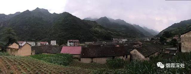 传统村落--溪港乡仁庄村(古村行013)- 秀美仙居 慈孝仁庄 明德生态姜园“七不”良心小黄姜发源地 传统村落--溪港乡仁庄村(古村行013)- 秀美仙居 慈孝仁庄 明德生态姜园“七不”良心小黄姜发源地