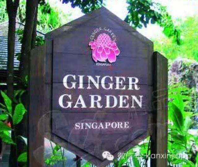 【新加坡眼】到新加坡姜园看姜花、喝姜茶、品“姜”-新加坡植物园的姜园内欧式餐馆-七不姜 生姜养生网-明德CSA生态姜园&明安农业