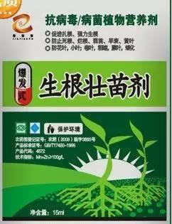您知道西瓜膨大 豆芽催熟 黄瓜冰箱自长等是怎么回事吗?您有无吃过使用的生长激素的果蔬? 您知道西瓜膨大 豆芽催熟 黄瓜冰箱自长等是怎么回事吗?您有无吃过使用的生长激素的果蔬?
