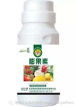 您知道西瓜膨大 豆芽催熟 黄瓜冰箱自长等是怎么回事吗?您有无吃过使用的生长激素的果蔬? 您知道西瓜膨大 豆芽催熟 黄瓜冰箱自长等是怎么回事吗?您有无吃过使用的生长激素的果蔬?