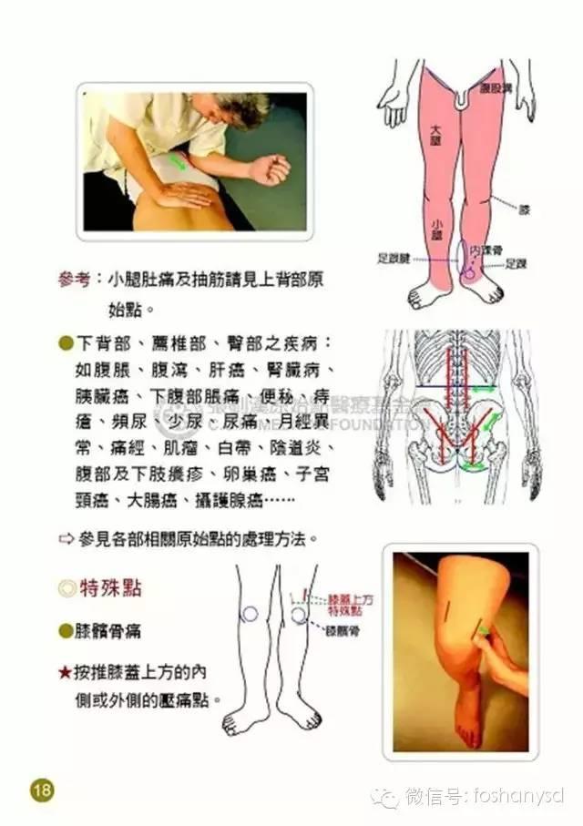 原始点手册V12版(因全是图片,大约10MB,建议wifi状态下阅读。土豪随意!) 原始点手册V12版(因全是图片,大约10MB,建议wifi状态下阅读。土豪随意!)
