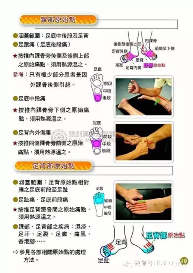 原始点手册V12版(因全是图片,大约10MB,建议wifi状态下阅读。土豪随意!) 原始点手册V12版(因全是图片,大约10MB,建议wifi状态下阅读。土豪随意!)