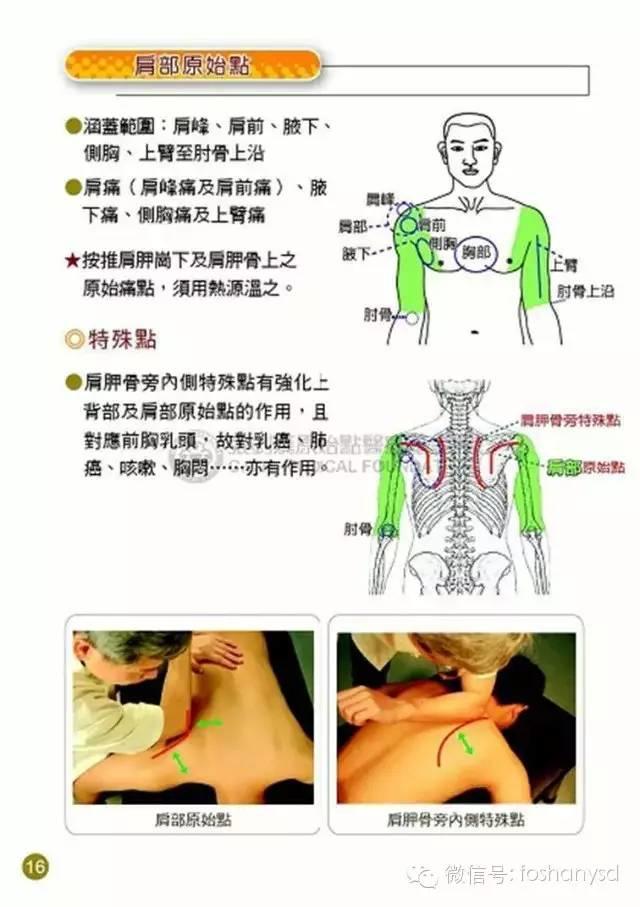 原始点手册V12版(因全是图片,大约10MB,建议wifi状态下阅读。土豪随意!) 原始点手册V12版(因全是图片,大约10MB,建议wifi状态下阅读。土豪随意!)
