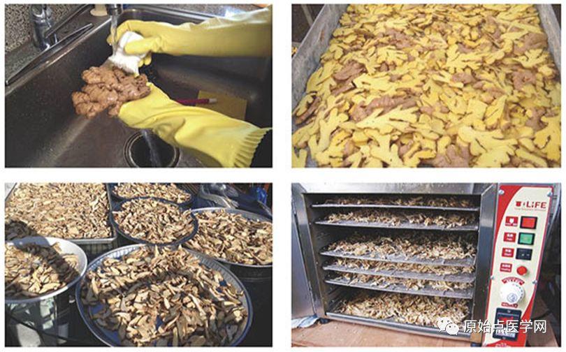 精华汇总 | 原始点医学之姜的应用（新增灌肠部分）201808第13版-七不姜 生姜养生网-明德CSA生态姜园&明安农业