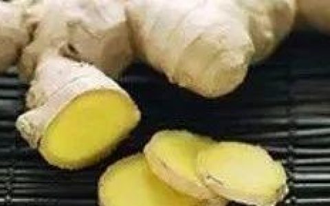 原始點小黃姜的應用 第16版 2020.2（首發）-七不姜 生姜養生網-明德CSA生態姜園&明安農業