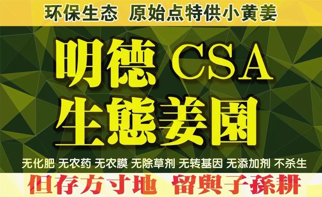 我们是谁？我们要干什么？关于我们-心法农业 七不姜 明德CSA生态姜园..还有心农人...