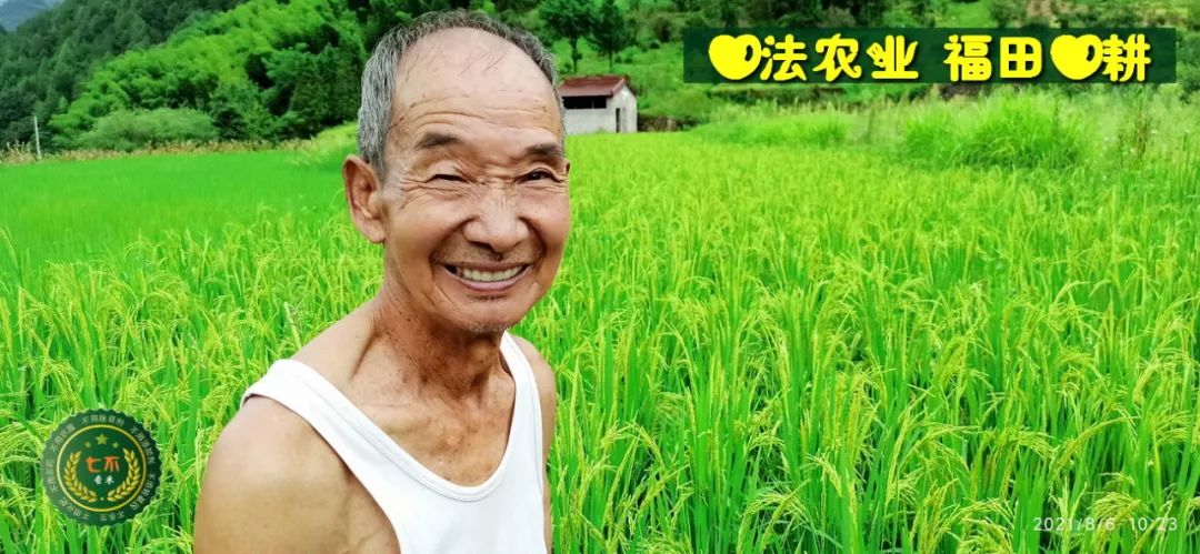 七不水稻即将上市-2021年新米预定月购限时特惠  家庭七不大米/红米 红皮大米/糯米/ 黑米/泰两优217/中浙优H7 宅配送