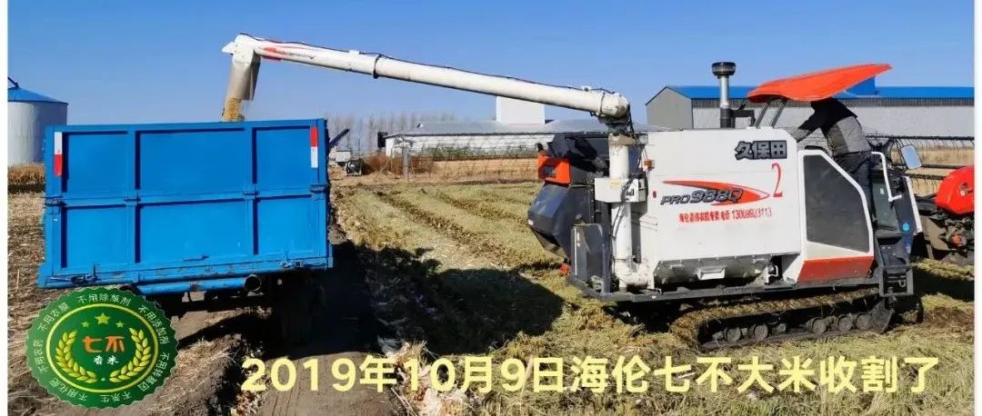 七不水稻即将上市-2021年新米预定月购限时特惠  家庭七不大米/红米 红皮大米/糯米/ 黑米/泰两优217/中浙优H7 宅配送