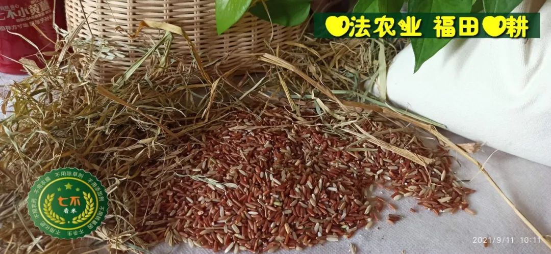 七不姜网店2022.1.29-2.8春节订单中奖名单揭晓啦！感恩鼓舞！谢谢你们的厚爱支持！恭喜得奖！