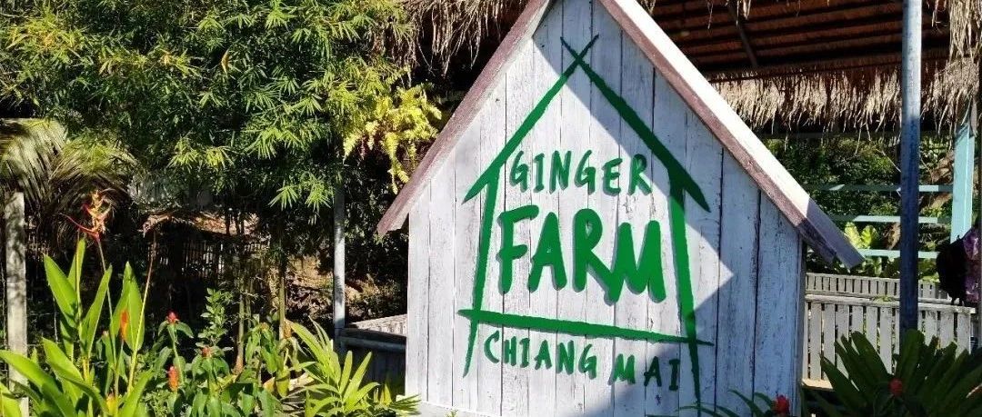 泰國這家親子農場憑什么成為學習典范? 吸引全世界的目光-七不姜 生姜養生網-明德CSA生態姜園&明安農業