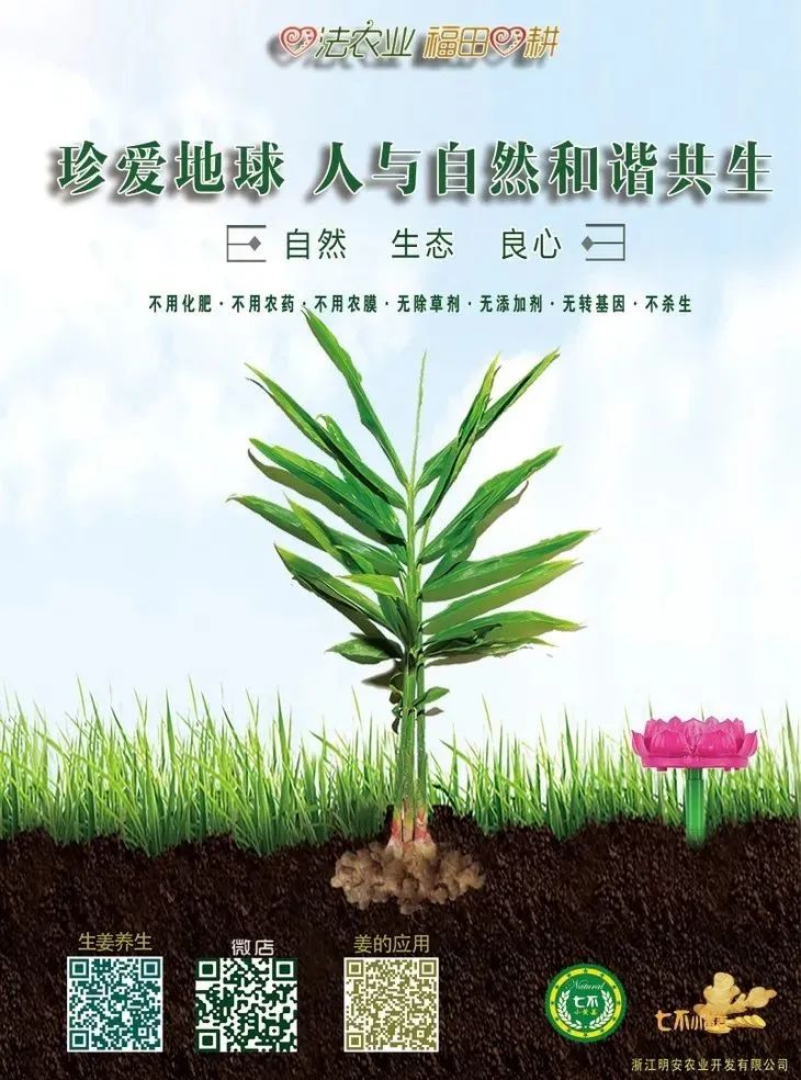 庆祝七不水稻 二级优质籼米 中浙优H7新上市-特惠五折预定，限时三天。可选1斤10斤及每月宅配送。