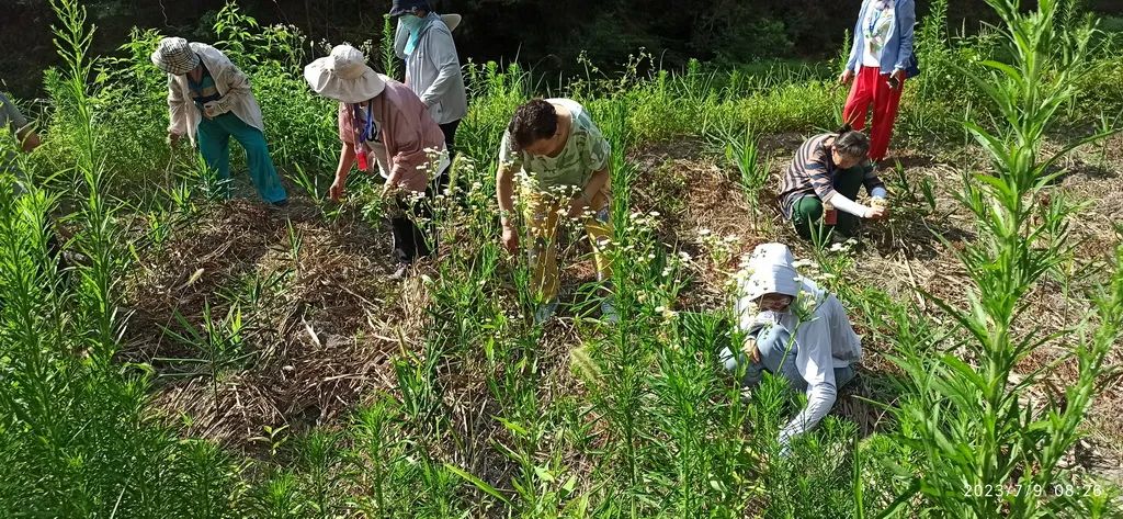 2023年浙江仙居 明安青少年儿童国学耕读夏令营回顾 7/8-8/4 2023年浙江仙居 明安青少年儿童国学耕读夏令营回顾 7/8-8/4