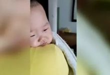 幼兒高熱近42℃，麻疹案例-七不姜 生姜養生網-明德CSA生態姜園&明安農業