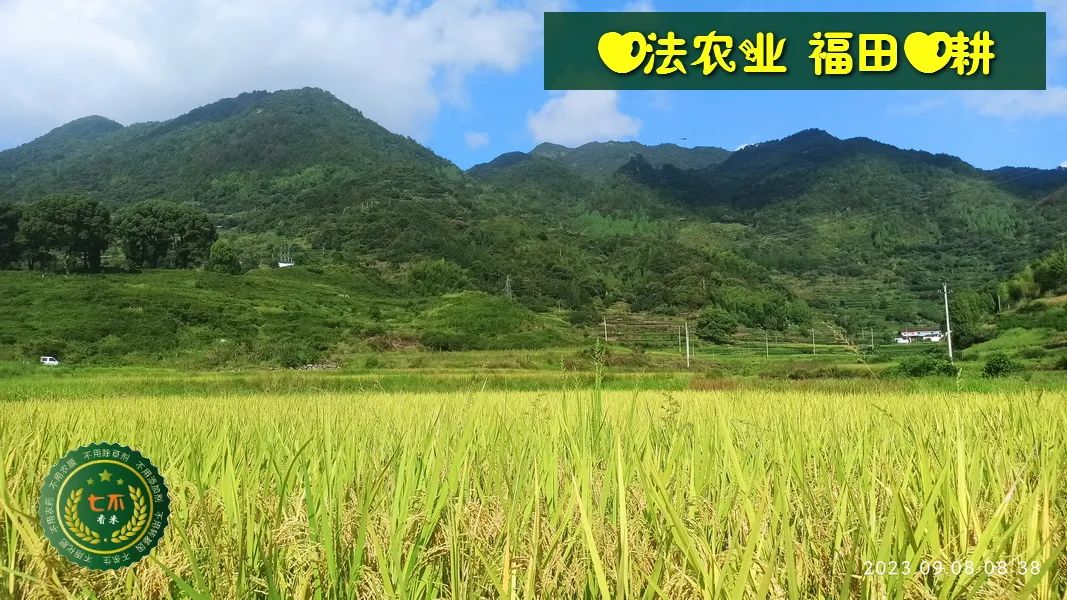 加入我们的七不姜养生微信群,专享2023年丰收节庆亚运优惠券! 满30元,即可立减10元!仅2天。 加入我们的七不姜养生微信群,专享2023年丰收节庆亚运优惠券! 满30元,即可立减10元!仅2天。