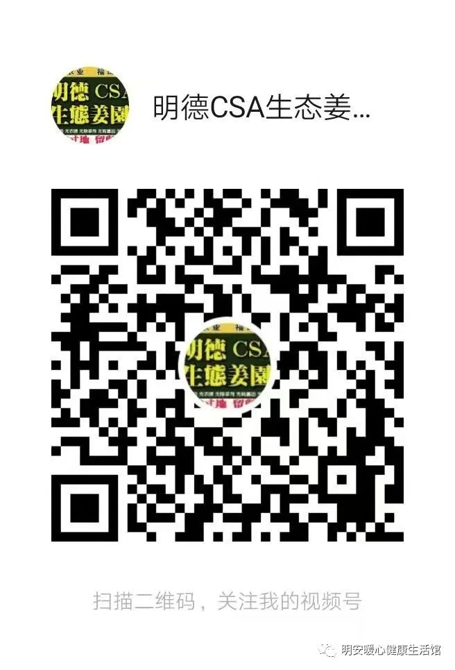 七不姜小黄姜 礼品卡 优惠劵 会员申请 折扣 积分2022年9月