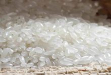 臻心話:這些關于大米的秘密,你一定不知道!-七不姜 生姜養生網-明德CSA生態姜園&明安農業