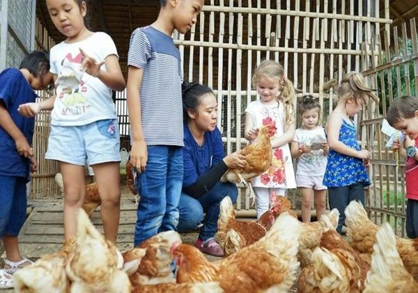 泰国Ginger Farm，30亩土地的亲子农场天天客流爆满！