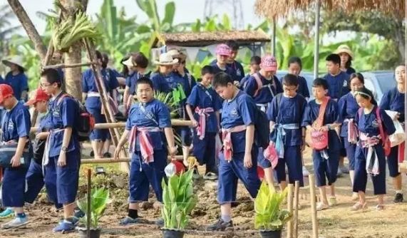 泰国Ginger Farm，30亩土地的亲子农场天天客流爆满！