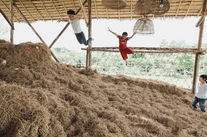 泰国Ginger Farm，30亩土地的亲子农场天天客流爆满！