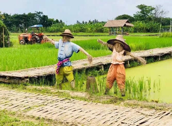 泰国Ginger Farm，30亩土地的亲子农场天天客流爆满！