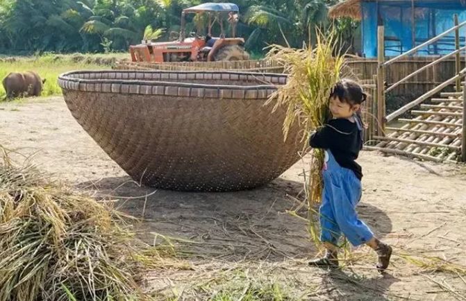 泰国Ginger Farm，30亩土地的亲子农场天天客流爆满！