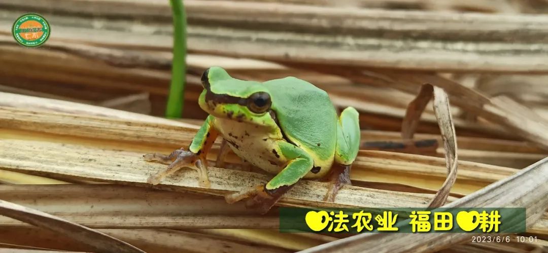 加入我们的七不姜养生微信群,专享2023年丰收节庆亚运优惠券! 满30元,即可立减10元!仅2天。 加入我们的七不姜养生微信群,专享2023年丰收节庆亚运优惠券! 满30元,即可立减10元!仅2天。