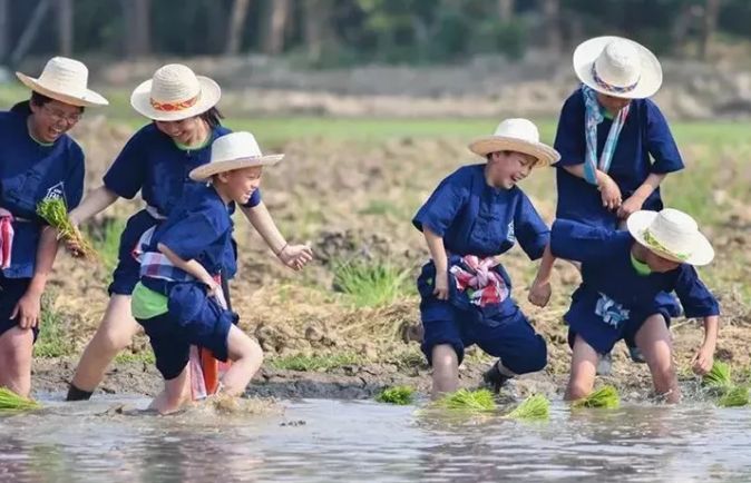 泰国Ginger Farm，30亩土地的亲子农场天天客流爆满！