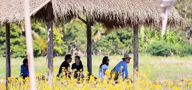 泰国Ginger Farm，30亩土地的亲子农场天天客流爆满！