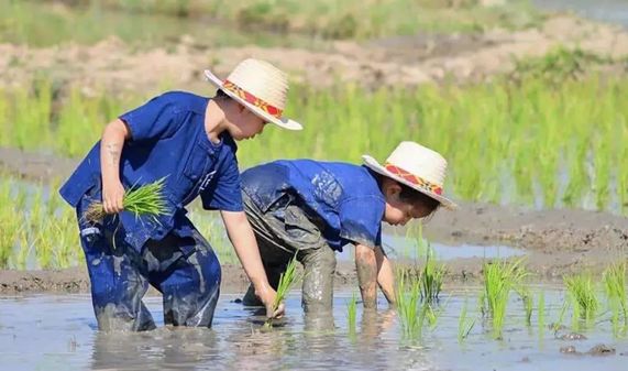 泰国这家亲子农场凭什么成为学习典范? 吸引全世界的目光