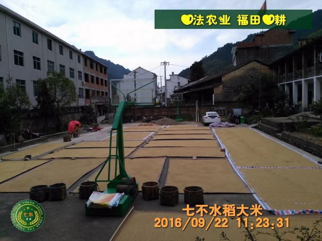 庆祝七不水稻 二级优质籼米 中浙优H7新上市-特惠五折预定，限时三天。可选1斤10斤及每月宅配送。