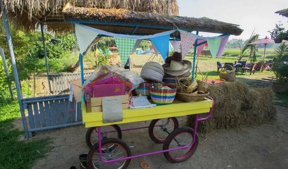 泰国Ginger Farm，30亩土地的亲子农场天天客流爆满！