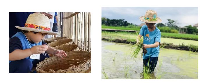 泰国Ginger Farm，30亩土地的亲子农场天天客流爆满！