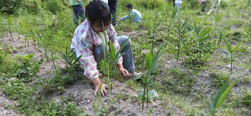 2023年浙江仙居 明安青少年儿童国学耕读夏令营回顾 7/8-8/4 2023年浙江仙居 明安青少年儿童国学耕读夏令营回顾 7/8-8/4