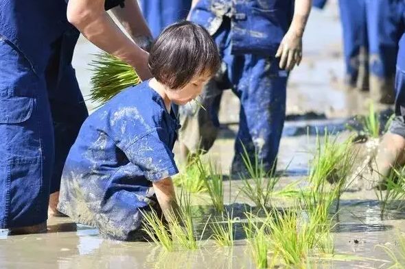 泰国这家亲子农场凭什么成为学习典范? 吸引全世界的目光